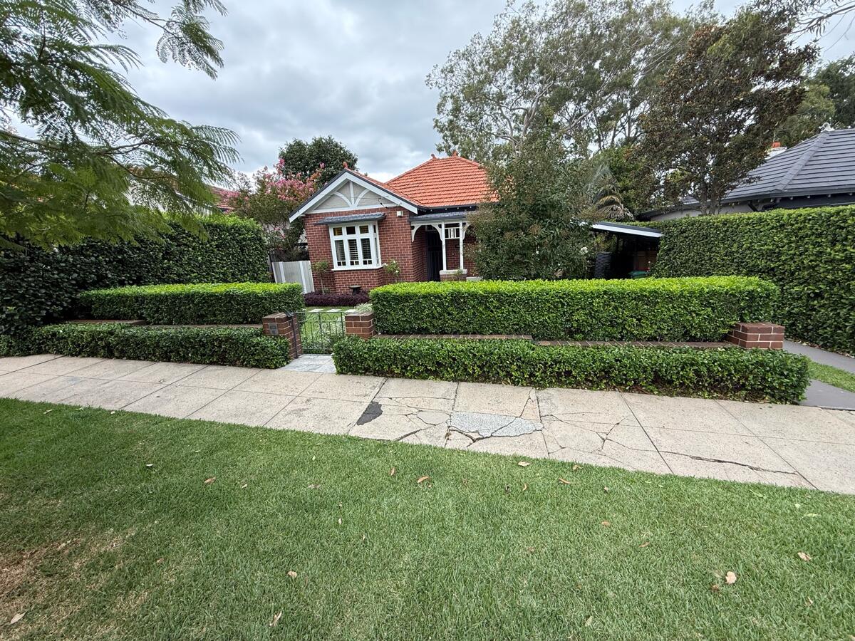 Hedge trimming and garden maintenance Maroubra Sydney