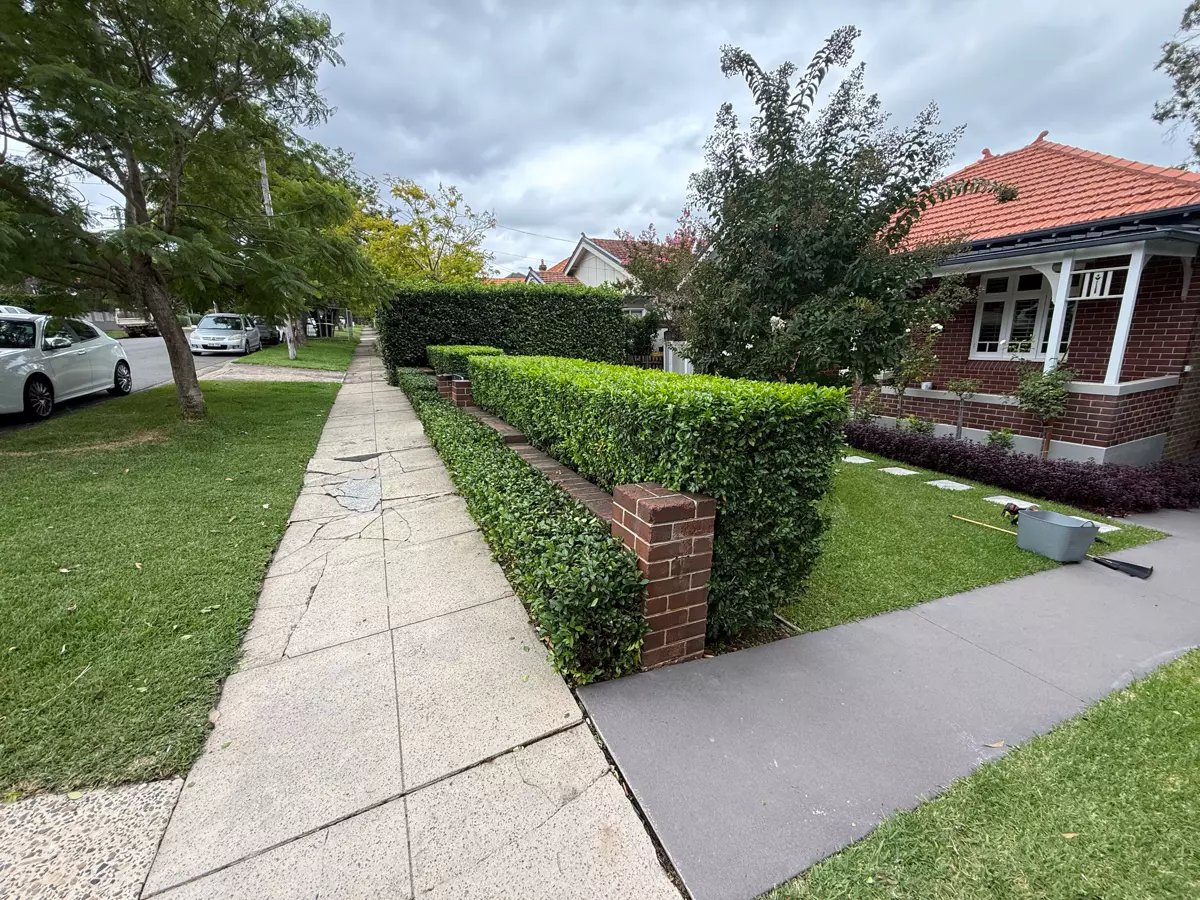 Precision hedge and lawn maintenance Sydney